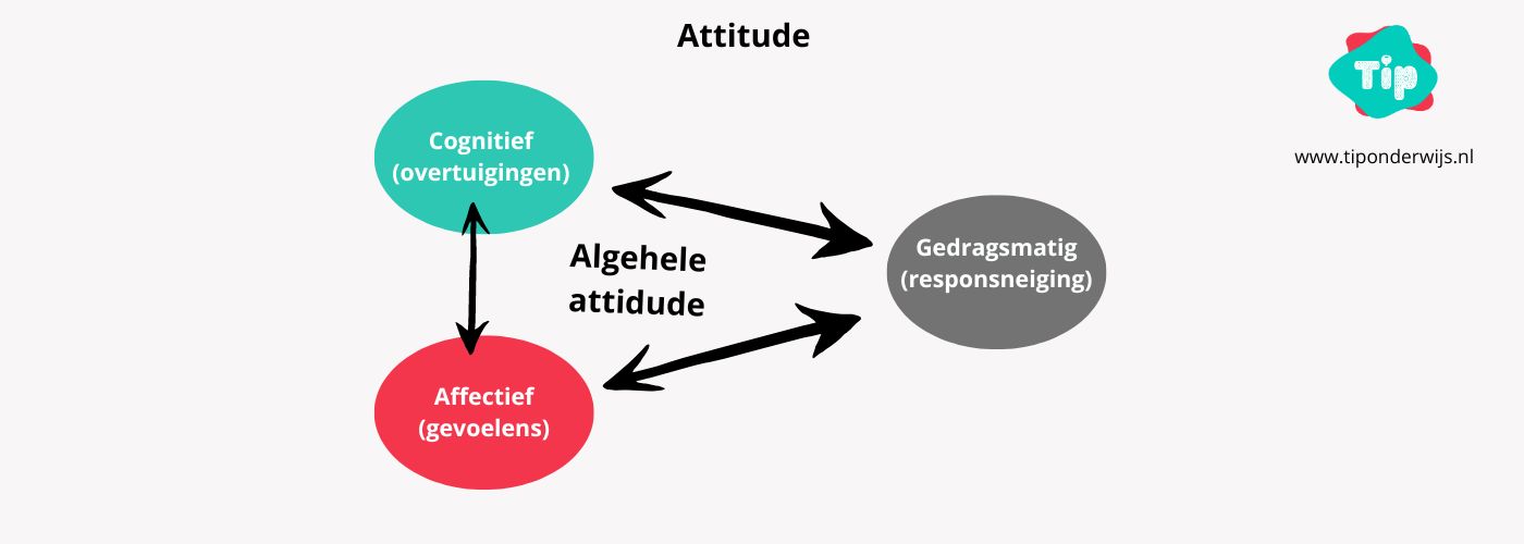 Attitude - Tip onderwijs