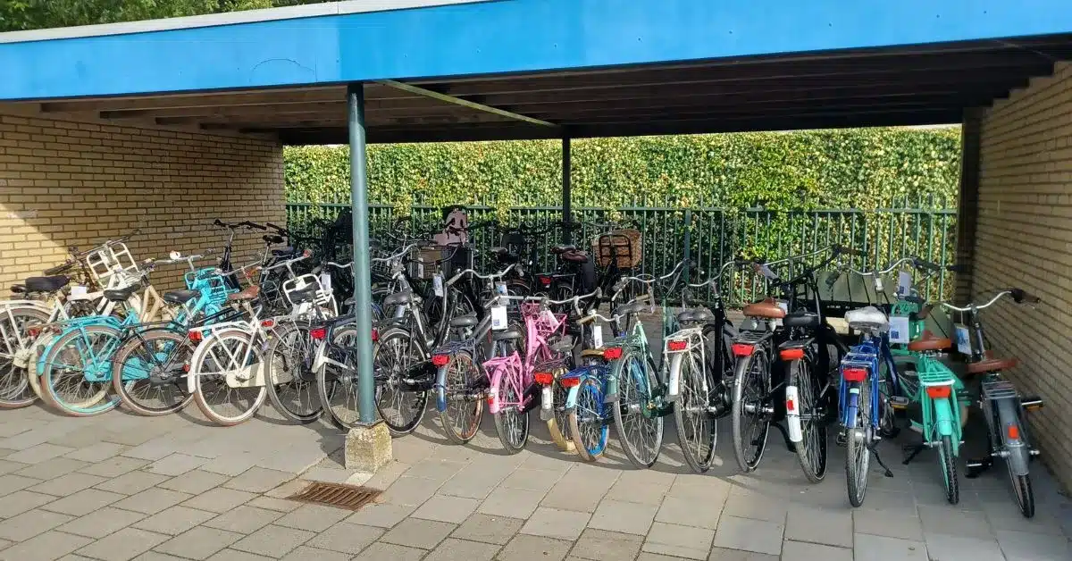 Brugfunctionaris - Tip onderwijs