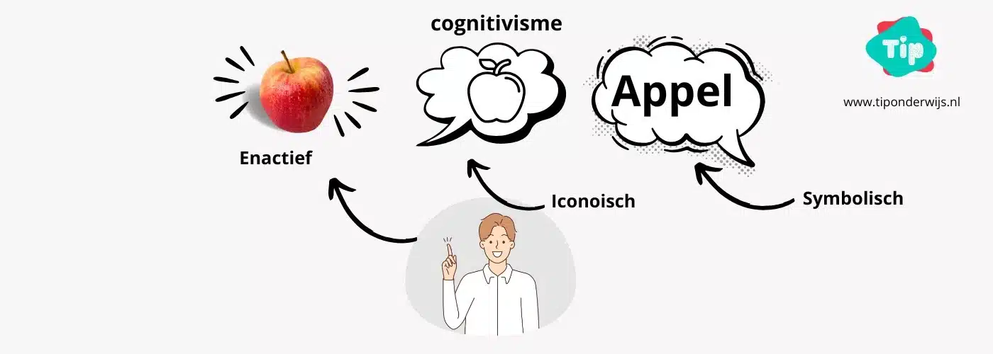 Cognitivisme - Tip onderwijs