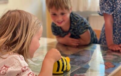 Levendig leren, dé basis in de kleuterklas