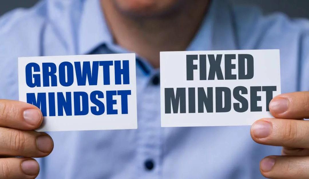 Wat is een fixed mindset?