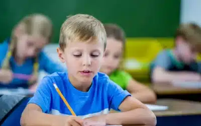 Schrijven als bouwsteen voor leren en ontwikkeling