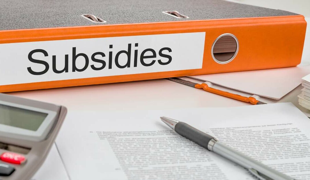 Subsidies in het onderwijs: Duur, Werkdrukverhogend en Dubieus