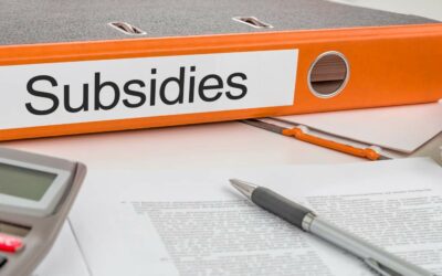 Subsidies in het onderwijs: Duur, Werkdrukverhogend en Dubieus