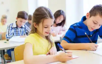 Taalverzorging: Aan welke knoppen draai je in de spellingsles?