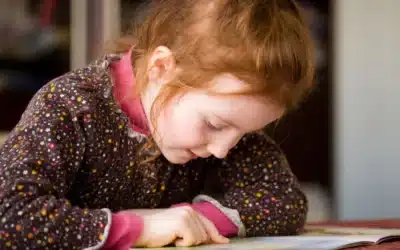 De Kracht van Veilig Leren Lezen