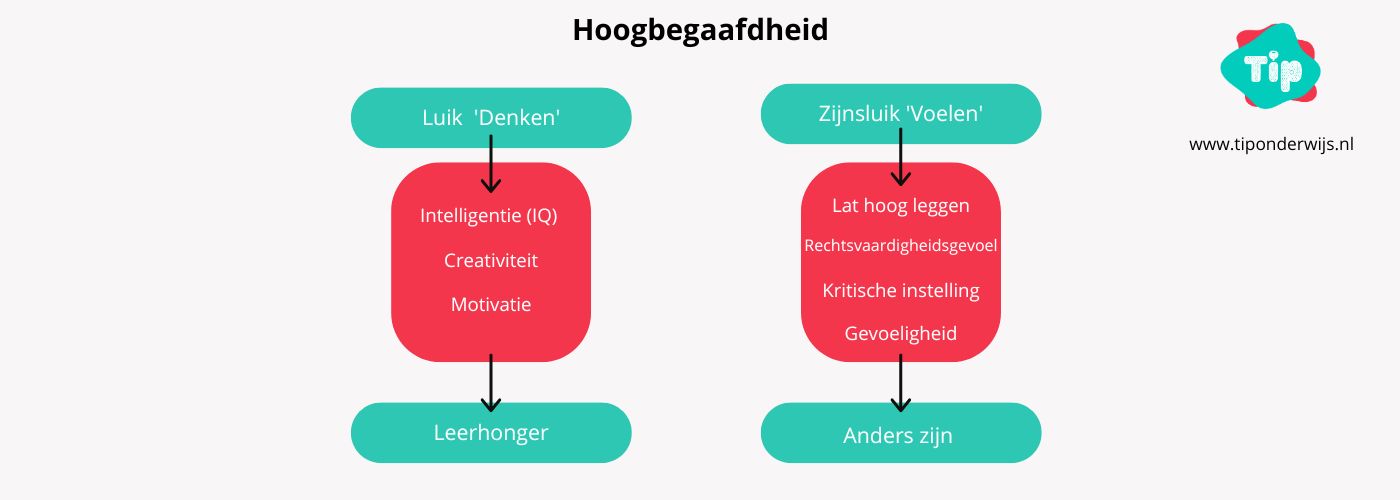 Plusklas - Tip onderwijs