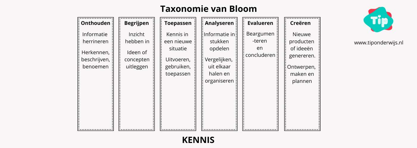 Plusklas - Tip onderwijs 