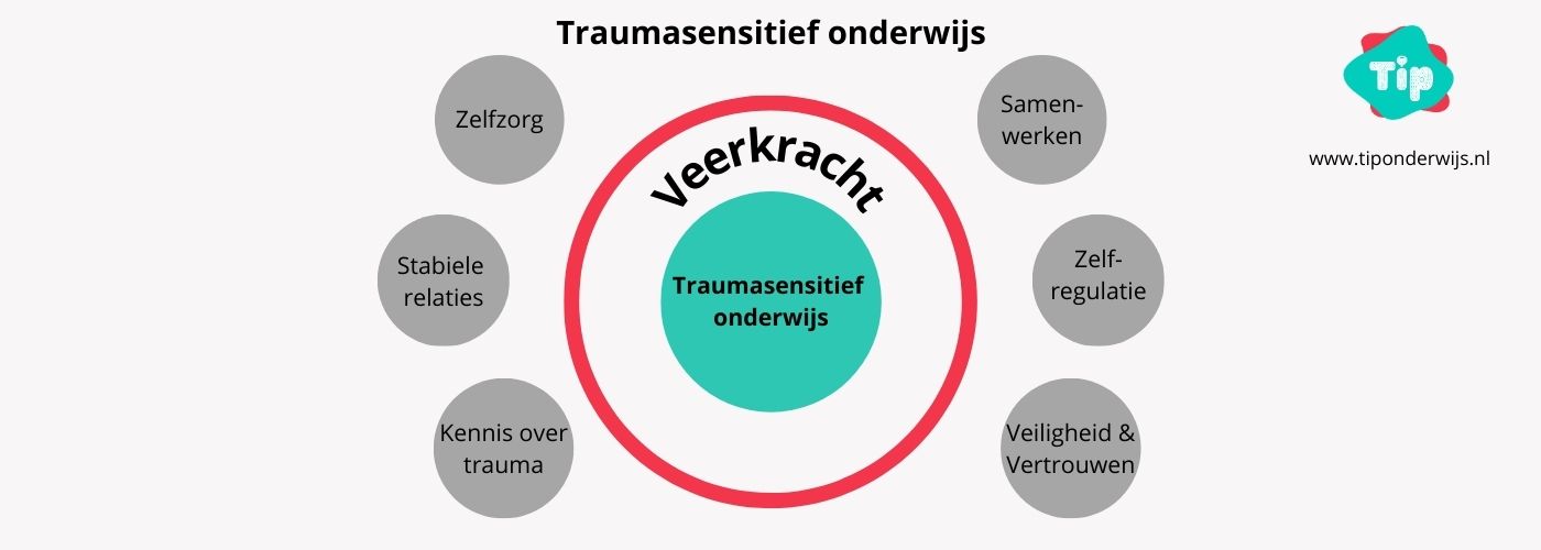 Traumasensitief onderwijs - Tip onderwijs